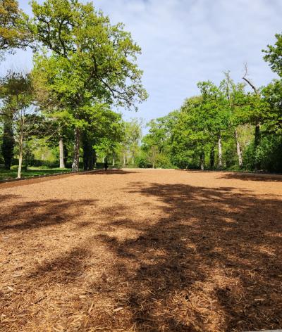 Une carrière équestre 100 % bois : une innovation majeure à l’Isle-Briand