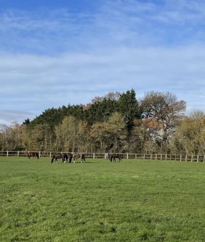Le Domaine des Cinq Sens, situé dans le Calvados, passe à l'échelon Progression !