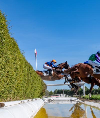 L'hippodrome de Mauron, situé dans le Morbihan, renouvelle son engagement en faveur de l'environnement et du bien-être animal