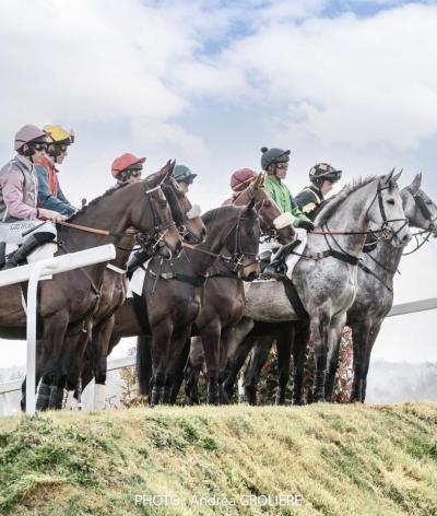 L'hippodrome de Lignières, dans le Cher, renouvelle sa labellisation et atteint le niveau progression