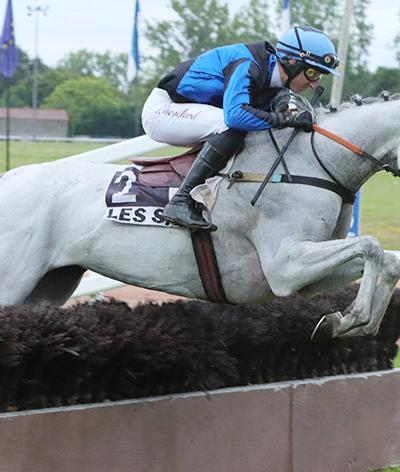 L'hippodrome des Sables d'Olonne s'engage pour l'environnement et le bien-être animal