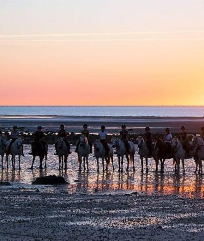 Le poney club d'Incarville est labellisé à l'échelon engagement