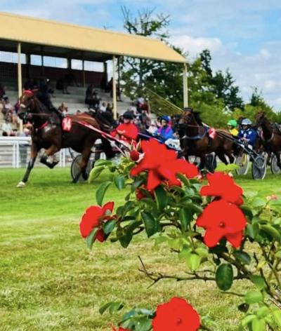 L'hippodrome d'Eauze, situé dans le Gers, renouvelle la labellisation EquuRES