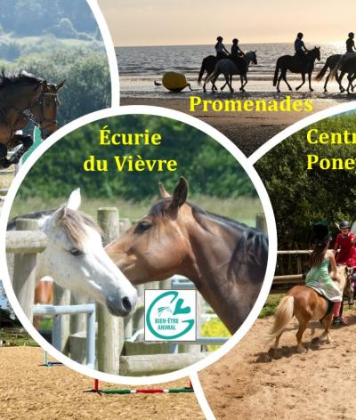 L'écurie du Vièvre, dans l'Eure, labellisée EquuRES à l'échelon Engagement !