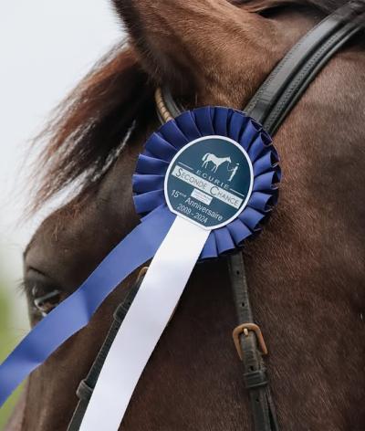 L'EARL Sylvain Martin Equine, dans le Maine-et-Loire, obtient la labellisation EquuRES Bien-être animal et environnement !