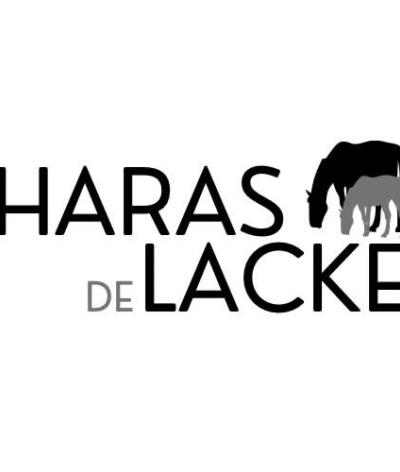 Le Haras de Lacke, dans le Calvados, est labellisé EquuRES à l'échelon Engagement !