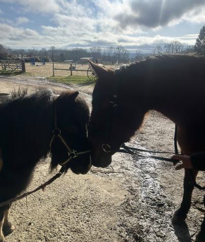 Le Domaine de Capucine, situé dans le Calavdos, renouvelle sa labellisation à l'échelon progression