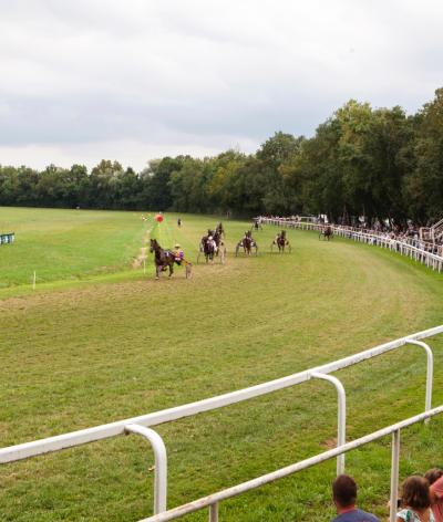 L'hippodrome de Fleurance, dans le Gers, renouvelle sa labellisation EquuRES