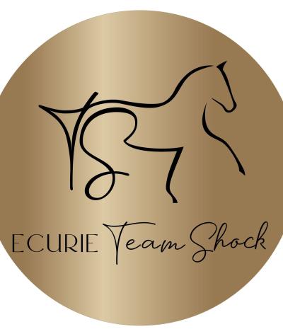 L'écurie Team Shock, dans le Calvados, obtient sa labellisation EquuRES