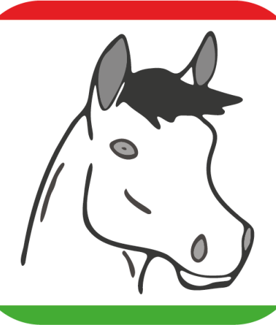 Le Poney-Club des 5 arpents, un bel exemple de progression !
