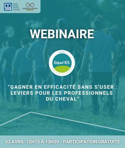 Webinaire : "Gagner en efficacité sans s’user : leviers pour les professionnels du cheval"